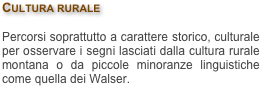 Cultura rurale

Percorsi soprattutto a carattere storico, culturale per osservare i segni lasciati dalla cultura rurale montana o da piccole minoranze linguistiche come quella dei Walser.