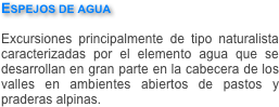 Espejos de agua

Excursiones principalmente de tipo naturalista caracterizadas por el elemento agua que se desarrollan en gran parte en la cabecera de los valles en ambientes abiertos de pastos y praderas alpinas.

