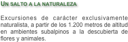 Un salto a la naturaleza

Excursiones de carácter exclusivamente naturalista, a partir de los 1.200 metros de altitud en ambientes subalpinos a la descubierta de flores y animales.
